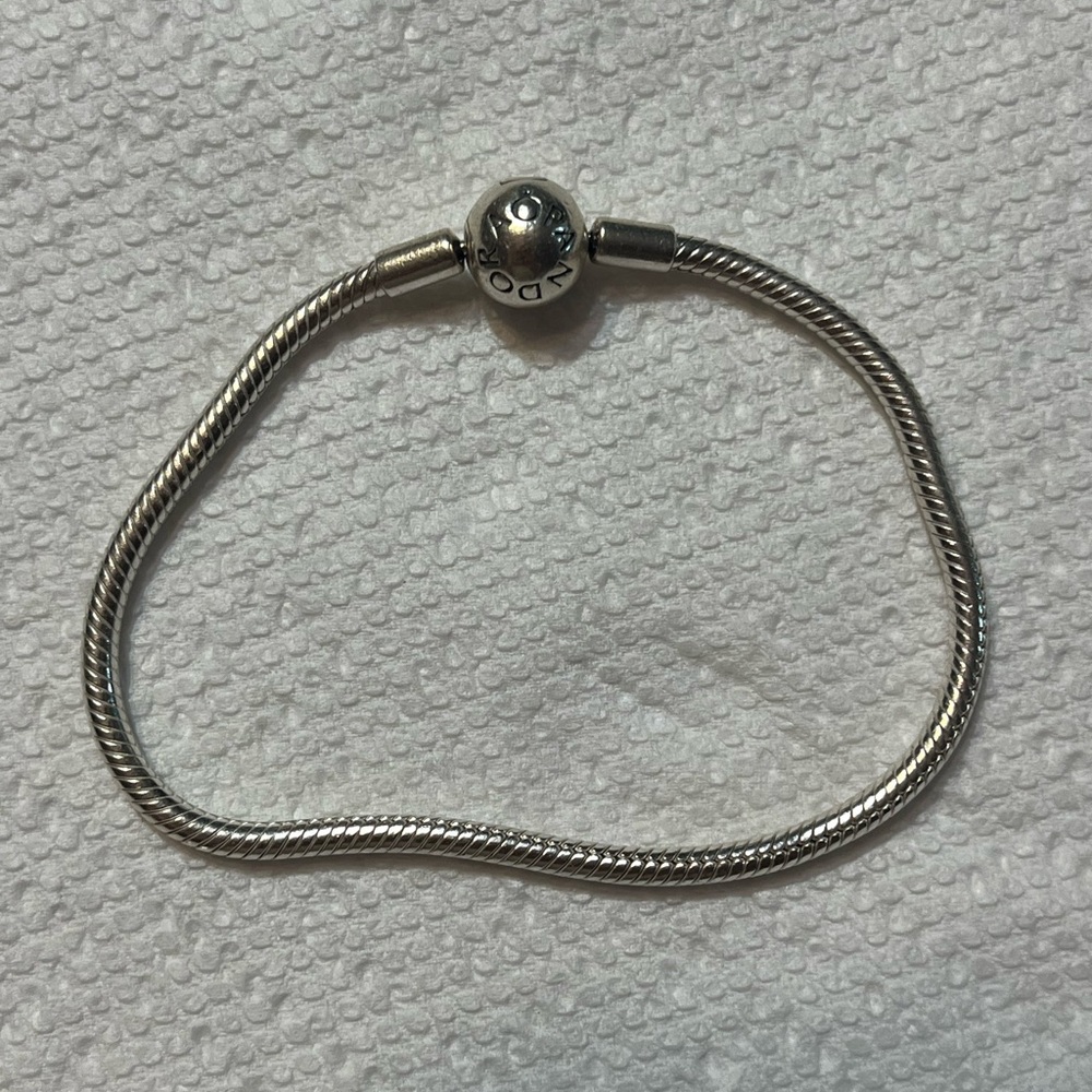 Pandora Bracelet and Charm